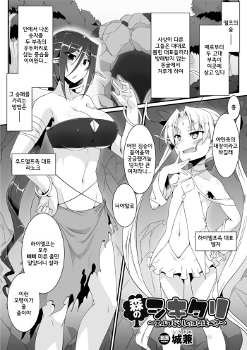 Mori no Shikitari ~Elf Doushi no Kon Kurabe?~ | 숲속의 관례 ~엘프들끼리의 승부?~ cover