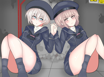 Z1andZ3 cover