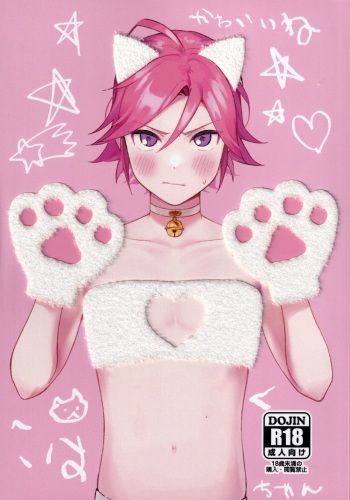 Kawaii Neko Kaku-chan cover