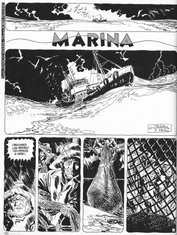 Marina cover