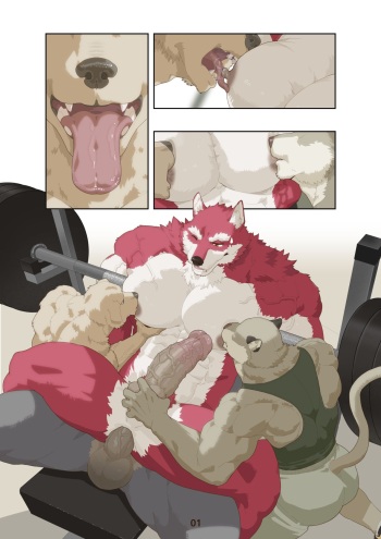 Gym Fantasy cover