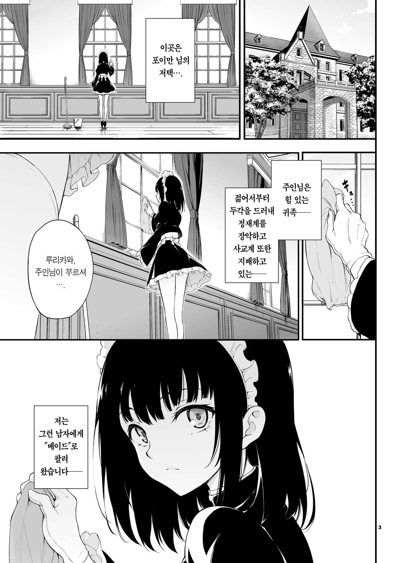 Maid Kyouiku. -Botsuraku Kizoku Rurikawa Tsubaki- | 메이드 교육 -몰락귀족 루리카와 츠바키- page 3 full