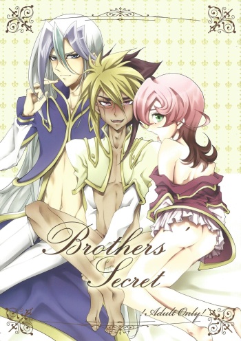 Brother's Secret cover