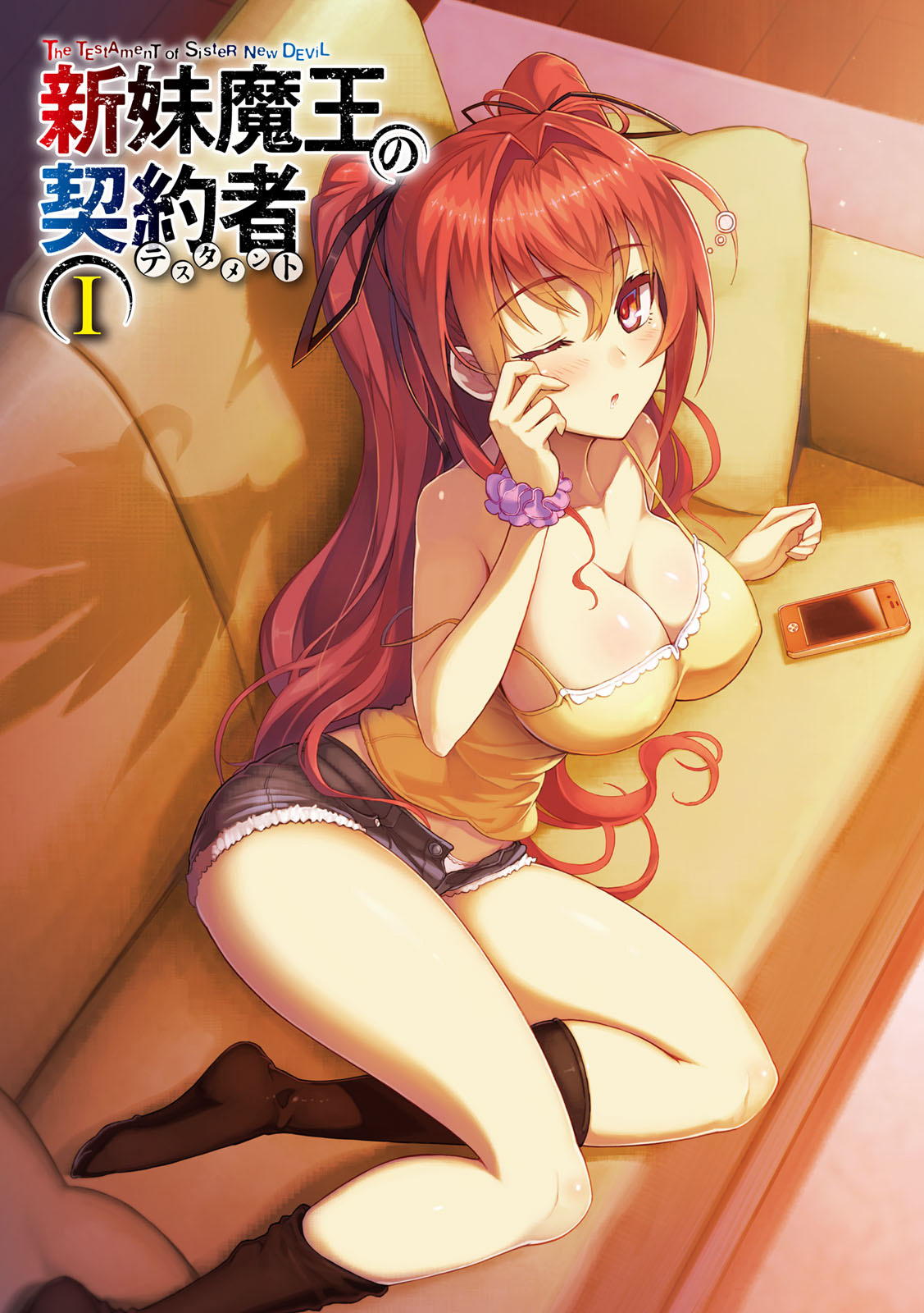 The Testament of Sister New Devil Light Novel Illustrations page 3 full
