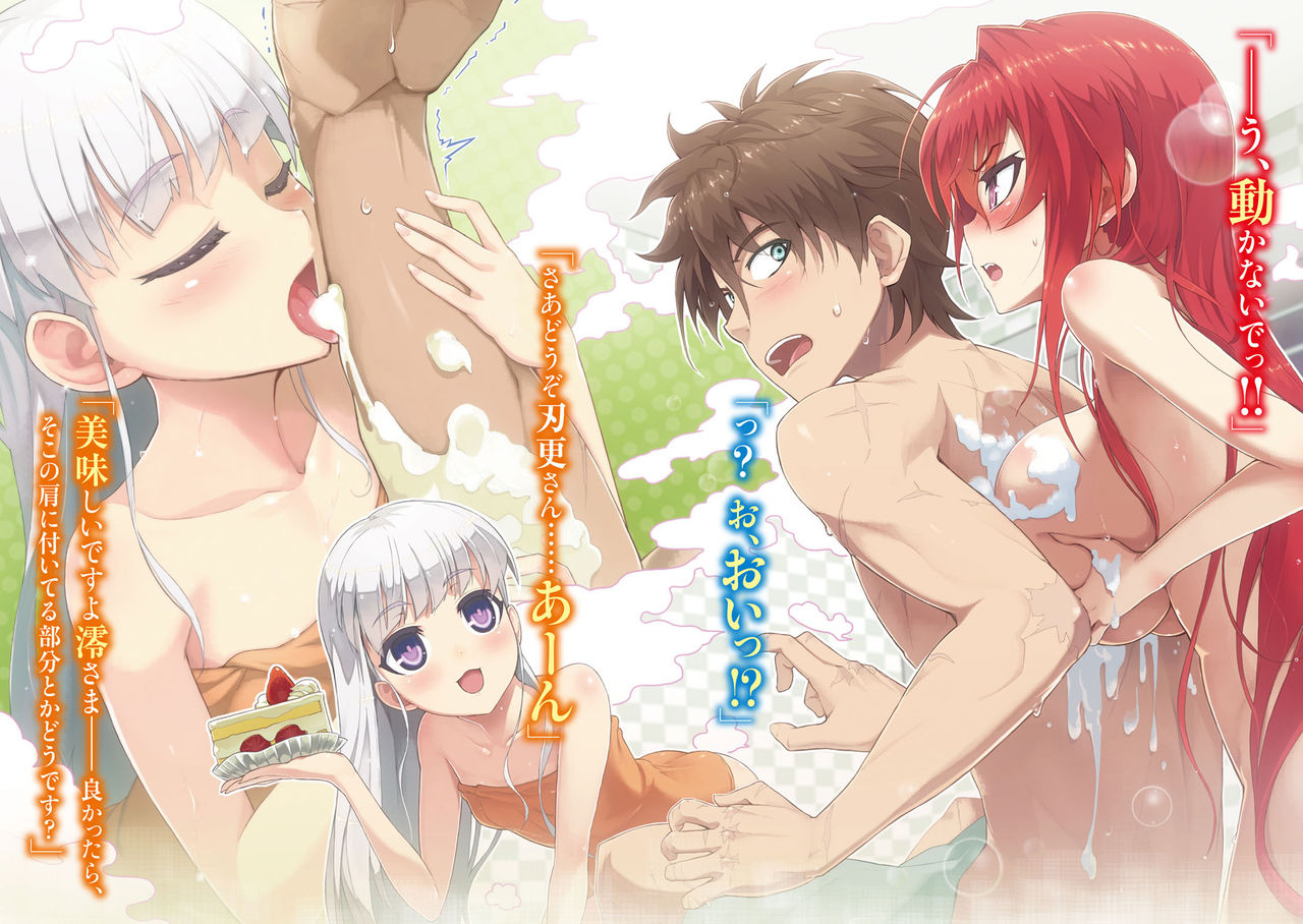 The Testament of Sister New Devil Light Novel Illustrations page 5 full