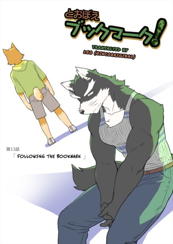Tooboe Bookmark 13 - Following The Bookmark cover