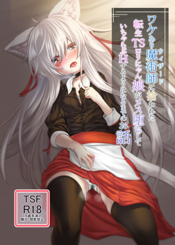 Wakeari Majutsushi ni Hirowareta Tensei TS Loli Nyanko ga Mesu Ochi shite IchaLove H suru You ni Naru made no Ohanashi cover