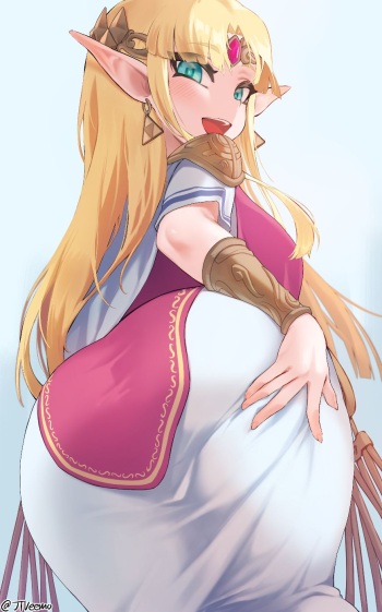 Zelda cover