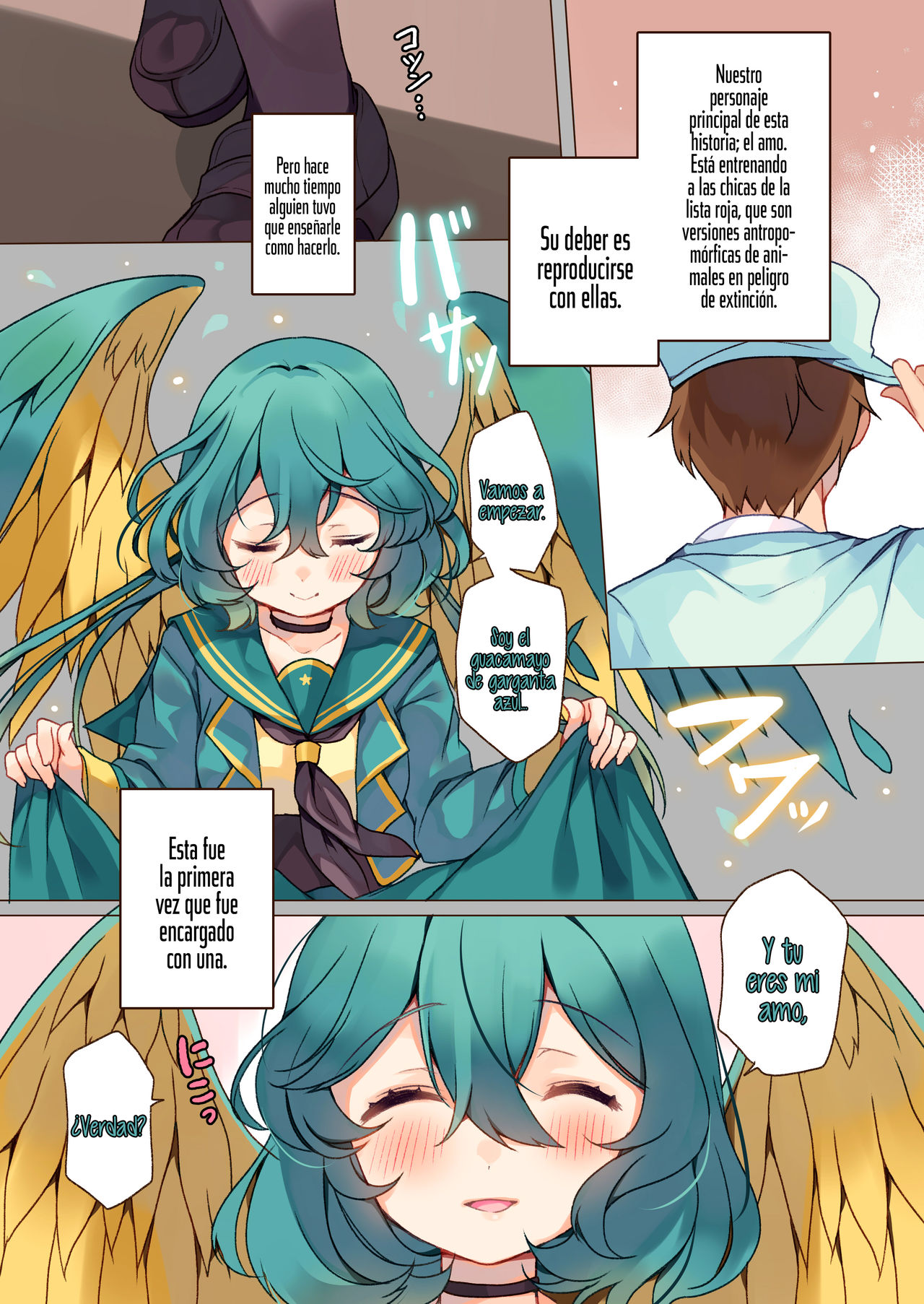MACAW;EDUCATION page 4 full