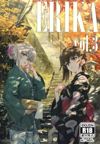 ERIKA Vol. 3 cover
