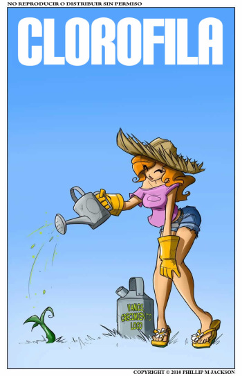 Clorofila cover