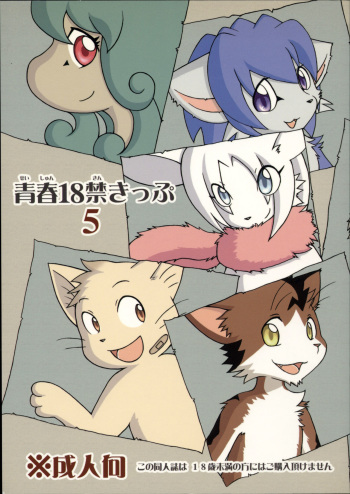 Seishun 18 Kin Kippu 5 cover
