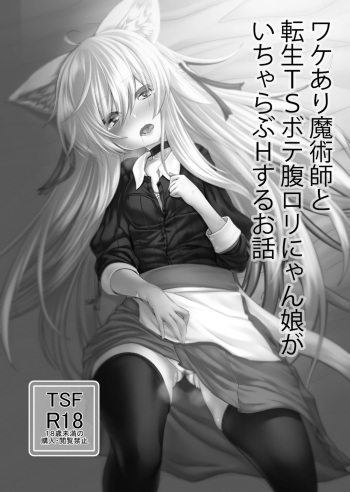 Wakeari Majutsushi to Tensei TS Botehara Loli Nyanko ga IchaLove H suru Ohanashi cover