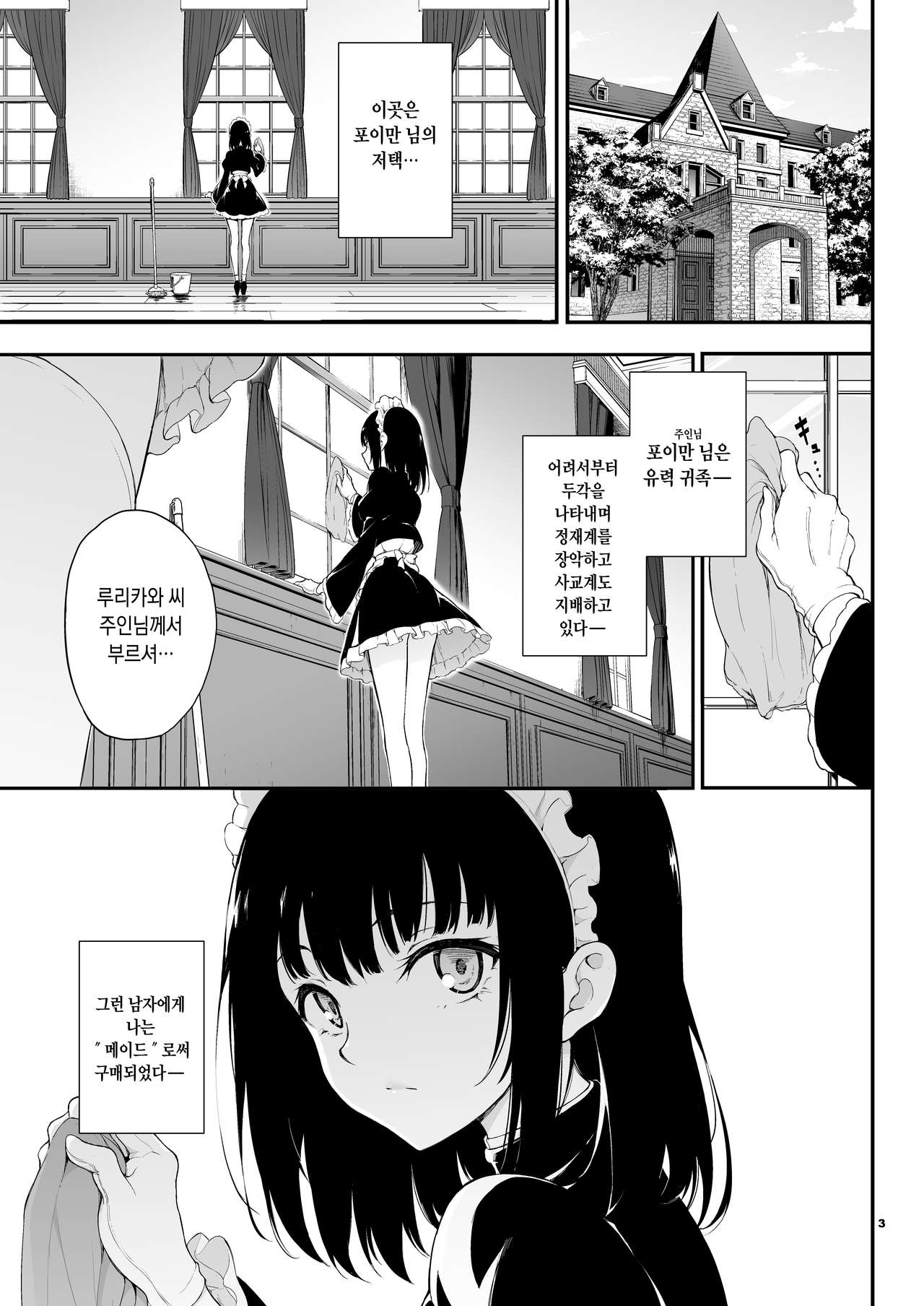 Maid Kyouiku. -Botsuraku Kizoku Rurikawa Tsubaki- | 메이드 교육. -몰락귀족 루리카와 츠바키- page 2 full