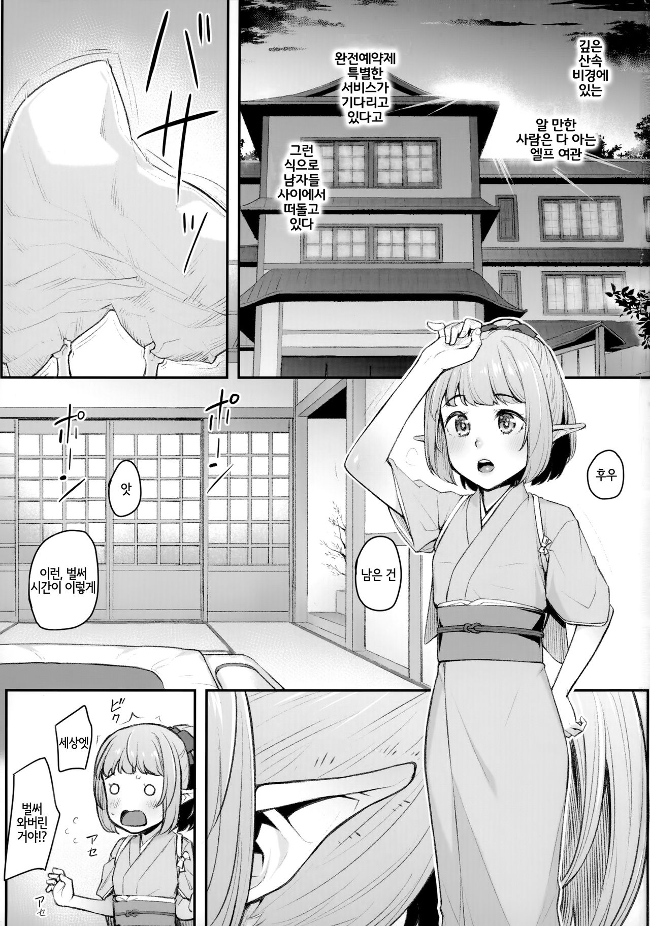 Elf Refle ~Wakaba~ | 엘프 리플레 ~와카바~ page 2 full