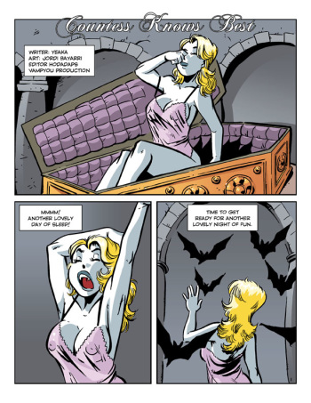 Countess Knows Best cover
