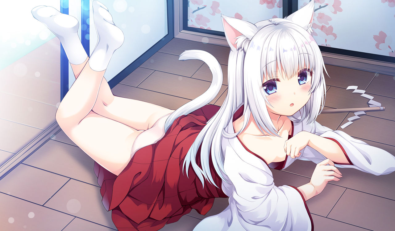 Sakuraba Hikari（1423422） page 7 full