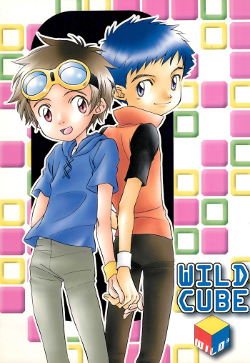 WILD CUBE cover