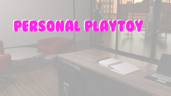 Personal Playtoy cover