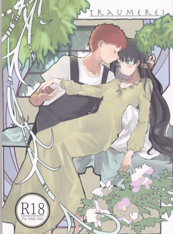 TRAUMEREI cover