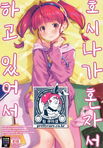 Hoshina ga Hitori de Shiteta node. | 호시나가 혼자서 하고 있어서 cover