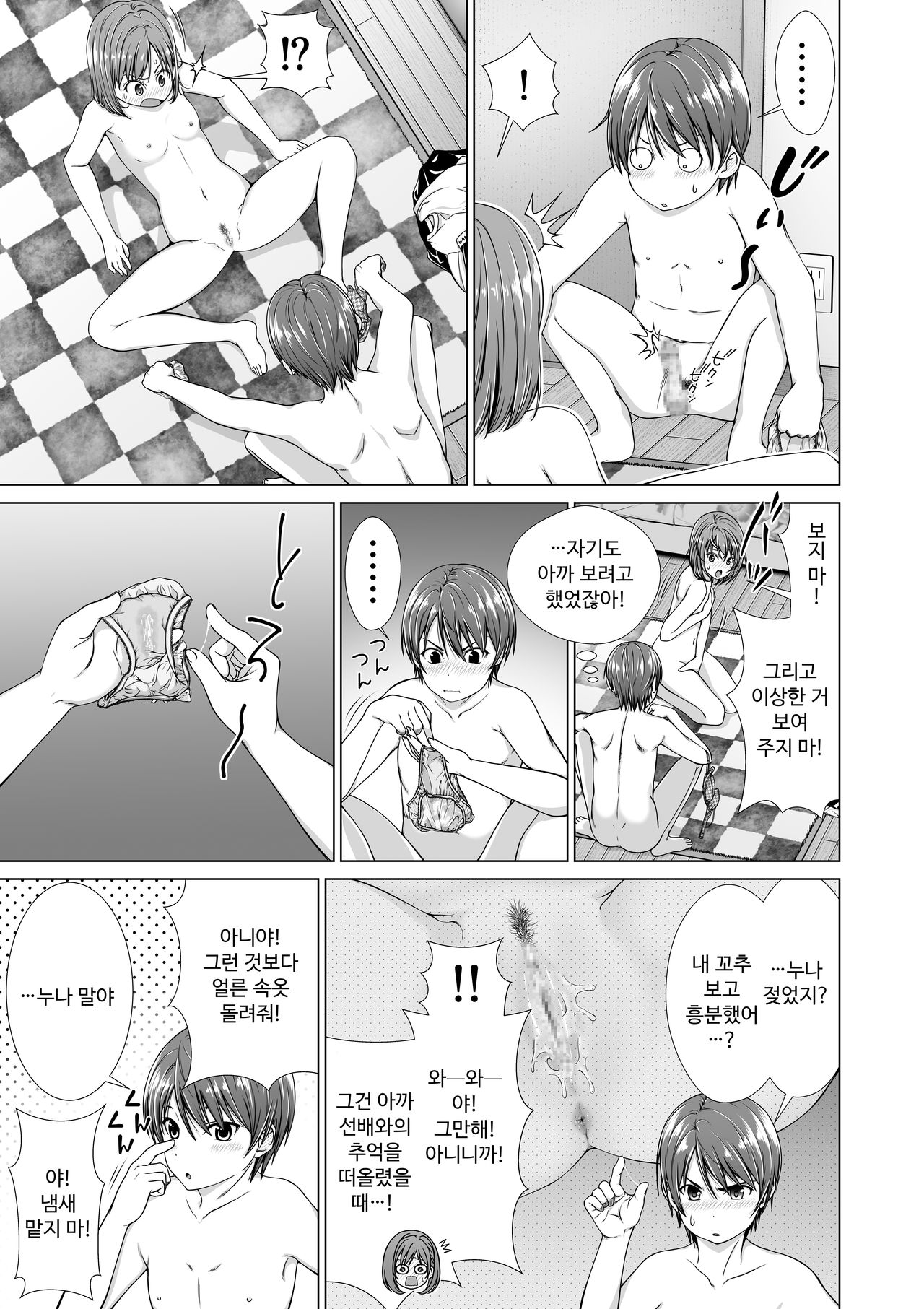 Houkei o Baka ni Shita Ane o Yatte Shimau Hanashi│포경을 바보 취급한 누나를 덮치는 이야기 page 10 full