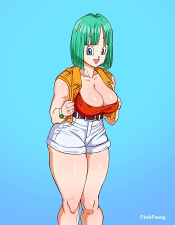 Bulma &amp; Vegeta cover