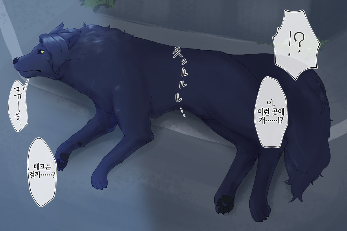 番い婚～拾った犬は狼でした～ page 4 full