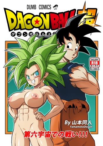 Fight in the 6th Universe!!! cover