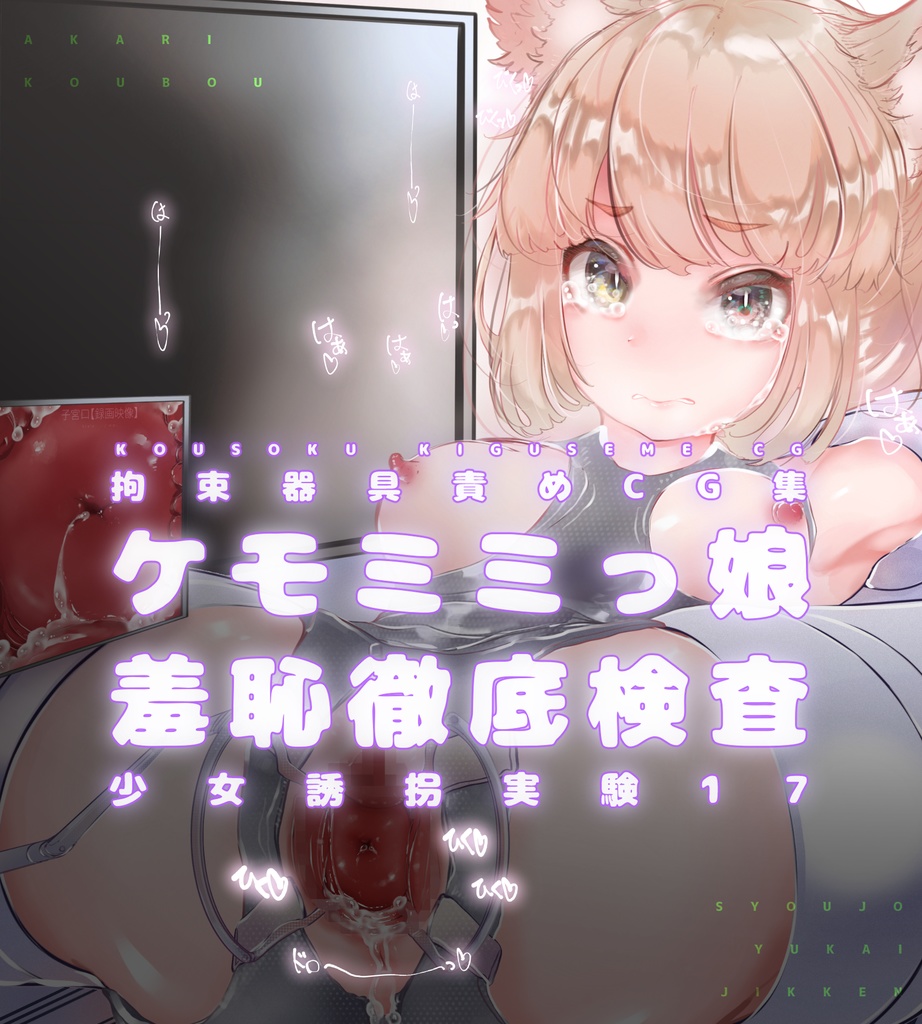 Shoujo Yuukai Jikken Vol. 17 - Kemo mimi musume seiki kansatsu shuchi tettei kensa page 1 full