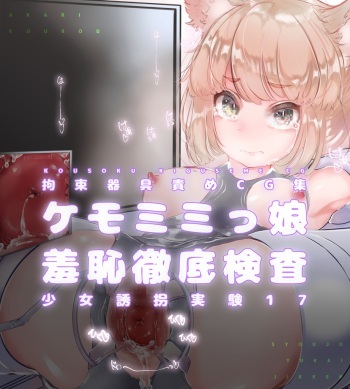 Shoujo Yuukai Jikken Vol. 17 - Kemo mimi musume seiki kansatsu shuchi tettei kensa cover