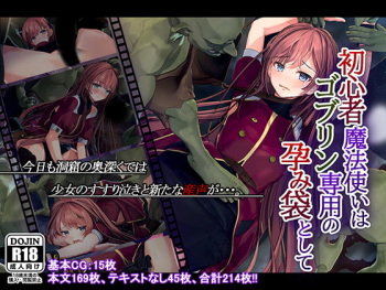 Shoshinsha Mahoutsukai wa Goblin Senyou no Haramibukuro to Shite cover
