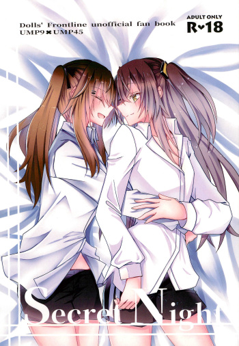 Secret Night cover