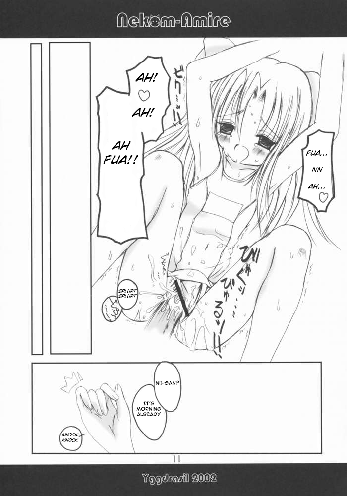 Nekom-Amire page 8 full