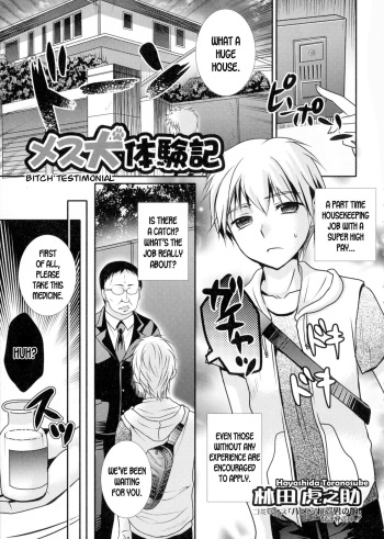 Mesuinu Taikenki | Bitch Testimonial cover