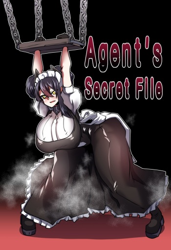 Agent's Secret File cover