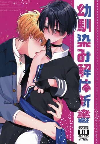 Osananajimi Kaitai Shinsho cover