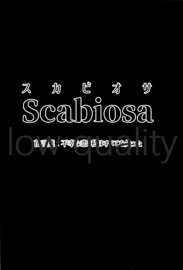 Scabiosa. page 3 full