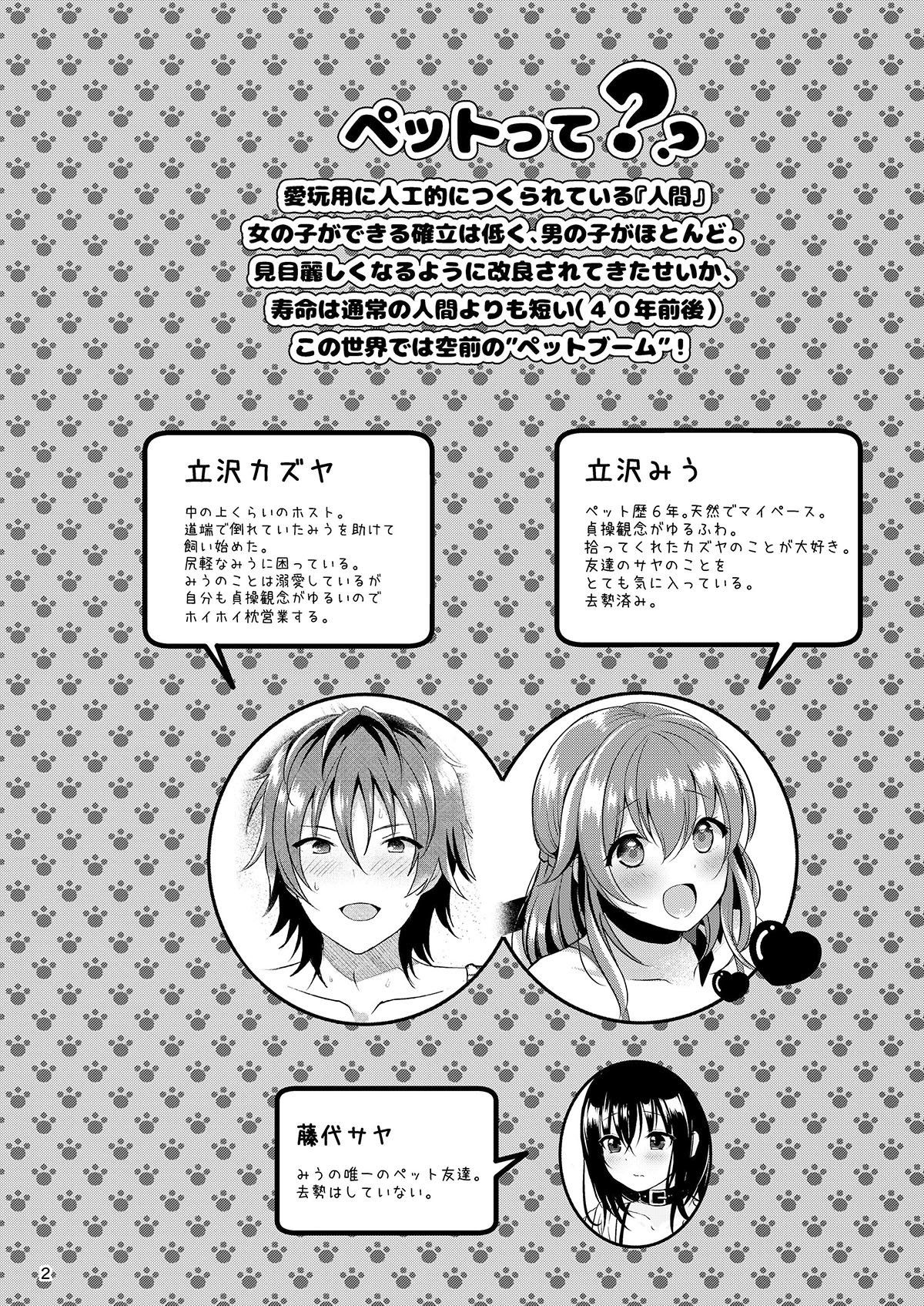Pet Life ~Miu no Otsukai~ page 3 full