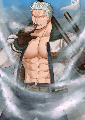 Smoker cover
