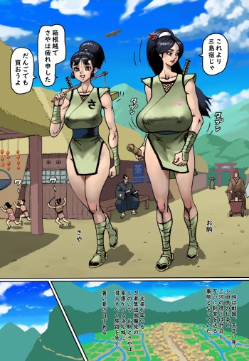 Fuma Kunoichi Hana Shigure cover