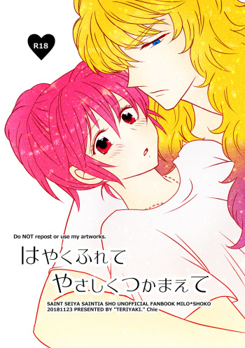 Hayaku Furete Yasashiku Tsukamaete cover