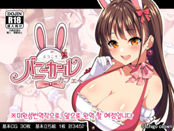 Youkoso! Bunny Girl Cafe e ~Inran Choukyou Tanetsuke Noukou Koubi Hen~ | 어서오세요! 바니걸 카페에 ~음란 조교・씨뿌리기 농후 교미편~ cover