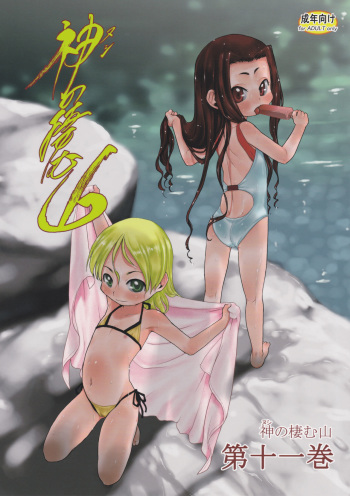 Nushi no Sumu Yama Vol. 11 cover