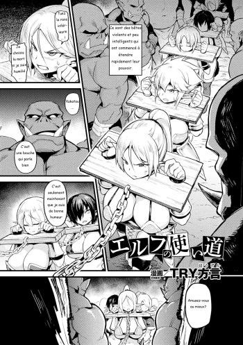 Elf no Tsukaimichi cover