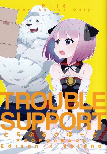 TROUBLE SUPPORT cover