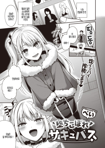 Ochikobore Succubus cover