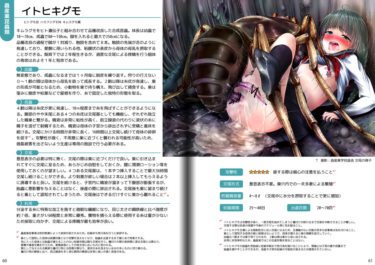 gall page 3 full