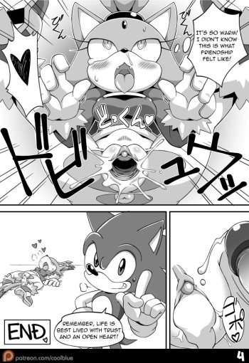 Blaze the cat! cover