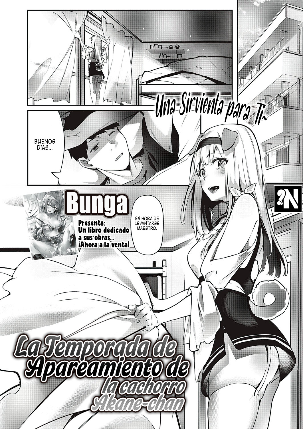 Hatsujou Koinu Akane-chan | La Temporada de Apareamiento de las Cachorro Akane-chan page 1 full